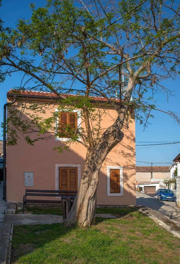 Apartman Juraj I Matej Vrsar Ngoại thất bức ảnh